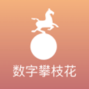 波兰名将称丝袜温网太水，大威笑谈自己还年轻，虽然膝盖已经80岁